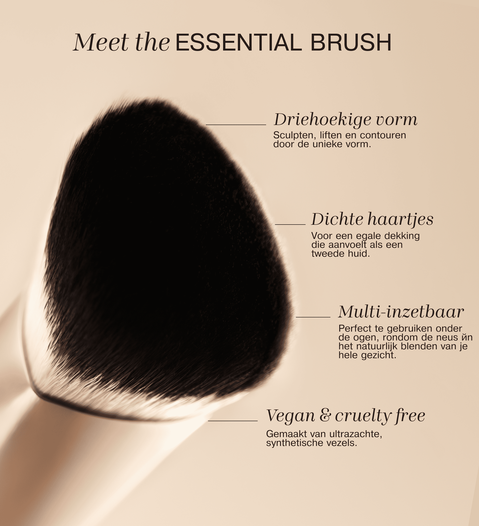 The Essential Brush