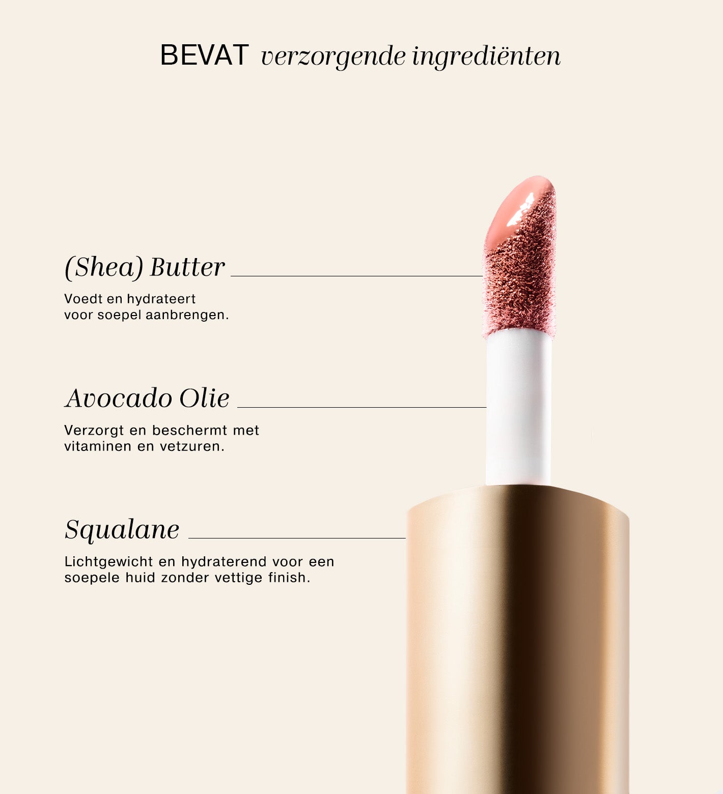 Mini Blush Dusty Rose