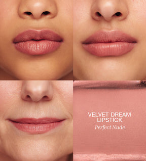 Velvet Dream Lipstick in Perfect Nude aangebracht op lippen en textuur swatch