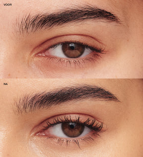 The Meroda Starter Set