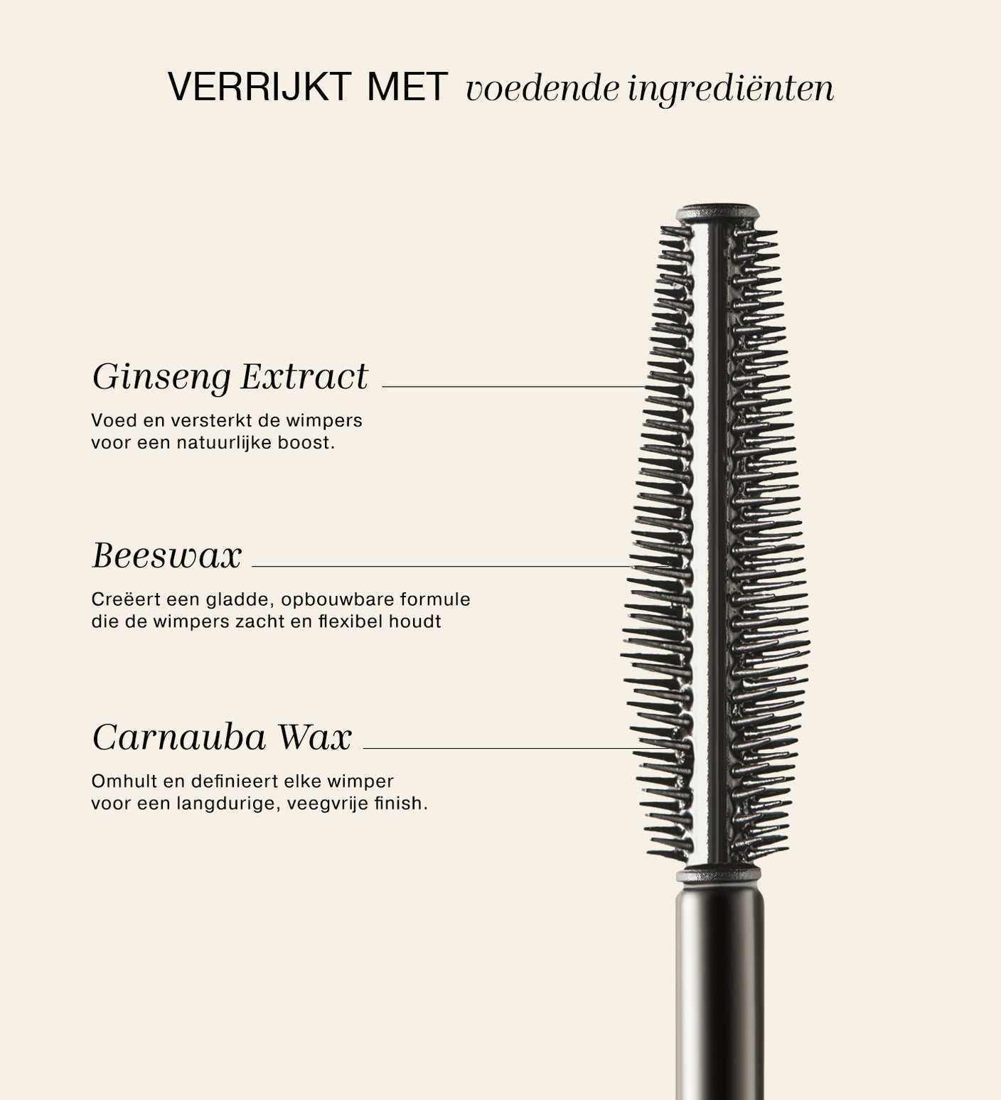 The Meroda Starter Set