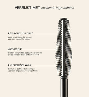 The Meroda Starter Set