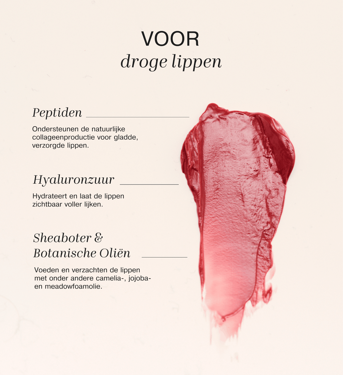 Ingrediëntenoverzicht van de Mini Lip Tint Trio met peptiden, hyaluronzuur en botanische oliën voor droge lippen.