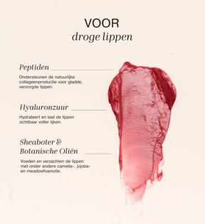 Ingrediëntenoverzicht van de Mini Lip Tint Trio met peptiden, hyaluronzuur en botanische oliën voor droge lippen.